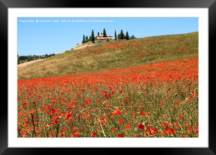 Poppy fields, Tuscany Framed Mounted Print by Graham Light
