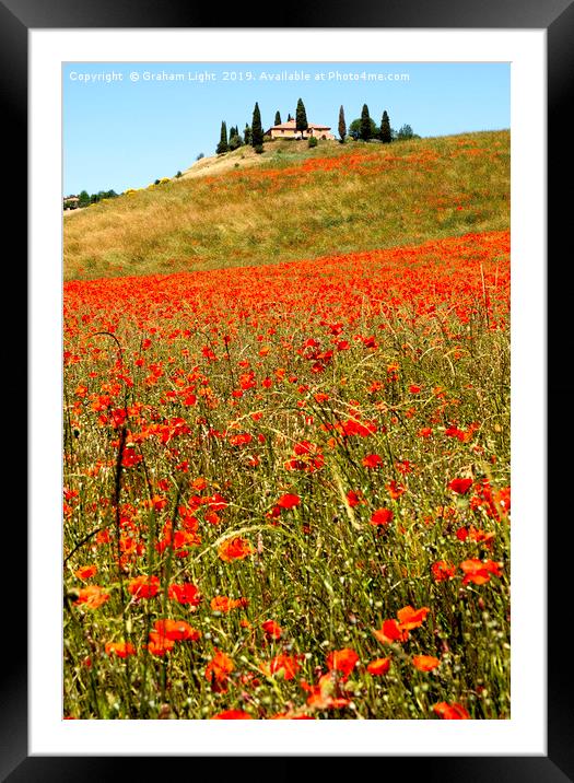 Poppy fields, Tuscany Framed Mounted Print by Graham Light
