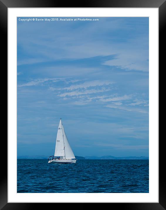 Sailing in the Hauraki Gulf  Framed Mounted Print by Barrie May