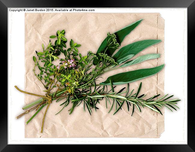 Herbs Framed Print by Janet Burdon