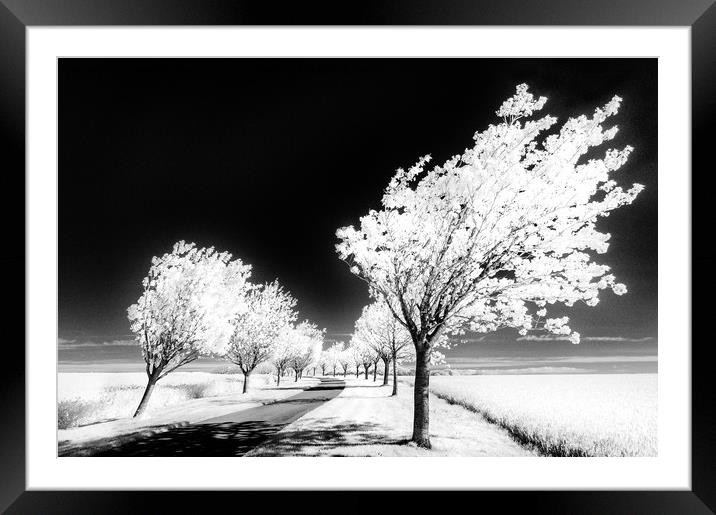 Cherry Tree Grove, Wolds Way Framed Mounted Print by Janet Burdon