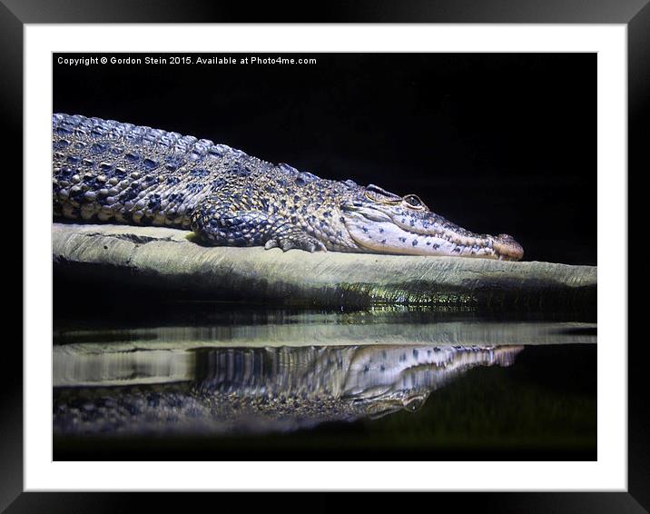  Relaxing Cayman Framed Mounted Print by Gordon Stein