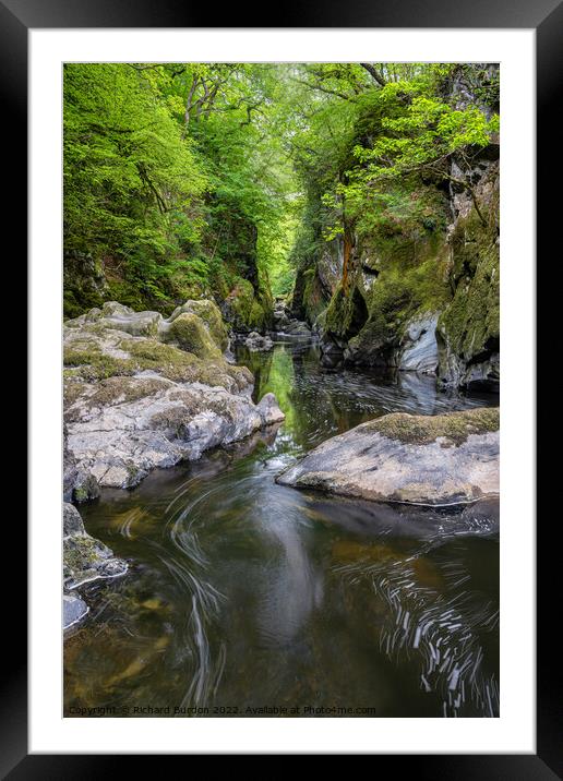 The Fairy Glen near Betws y Coed Framed Mounted Print by Richard Burdon