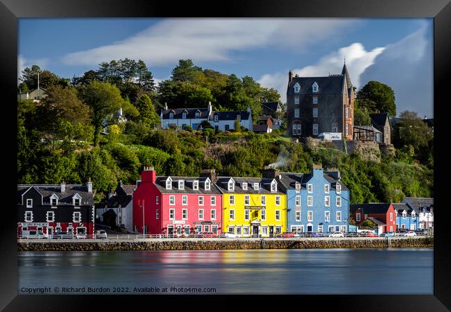 Tobermory Framed Print by Richard Burdon