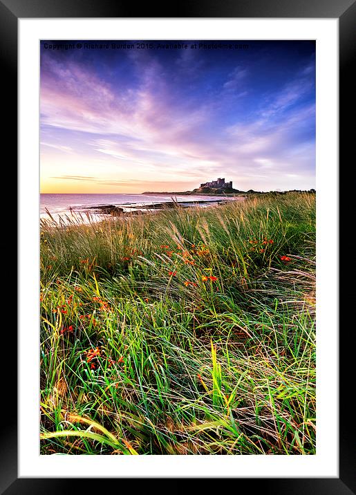  Bamburgh Castle From Harkness Dunes Framed Mounted Print by Richard Burdon