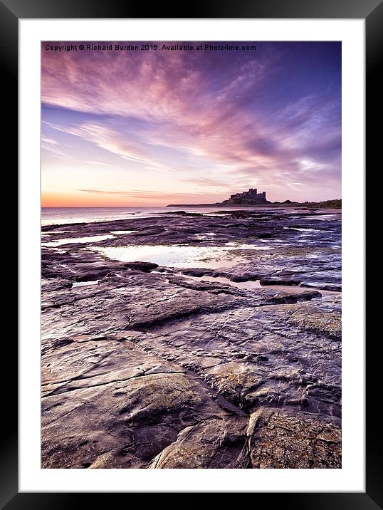  Sunrise Over Bamburgh Castle from Harkness Rocks Framed Mounted Print by Richard Burdon