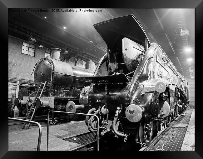Sir Nigel Gresley In The Engine Shed At Grosmont Framed Print by Richard Burdon