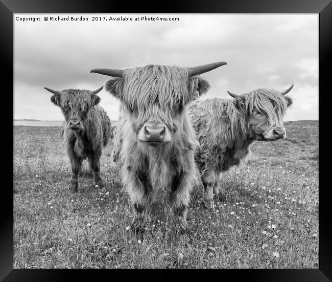 Highlanders Framed Print by Richard Burdon