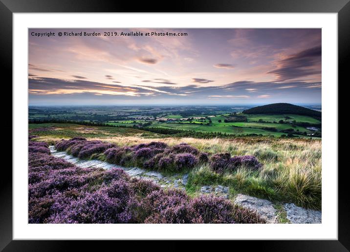 Heather at Sunset, Swainby Framed Mounted Print by Richard Burdon