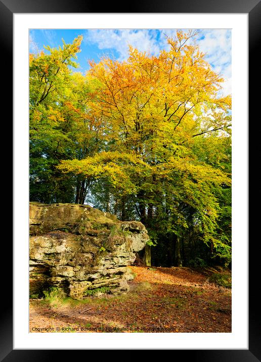 The Adderstone in Dalby Forest Framed Mounted Print by Richard Burdon