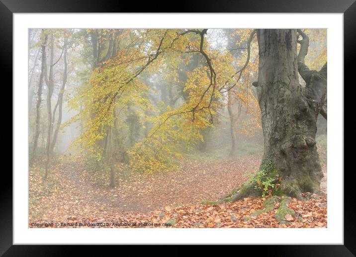 Autumn Mists Framed Mounted Print by Richard Burdon