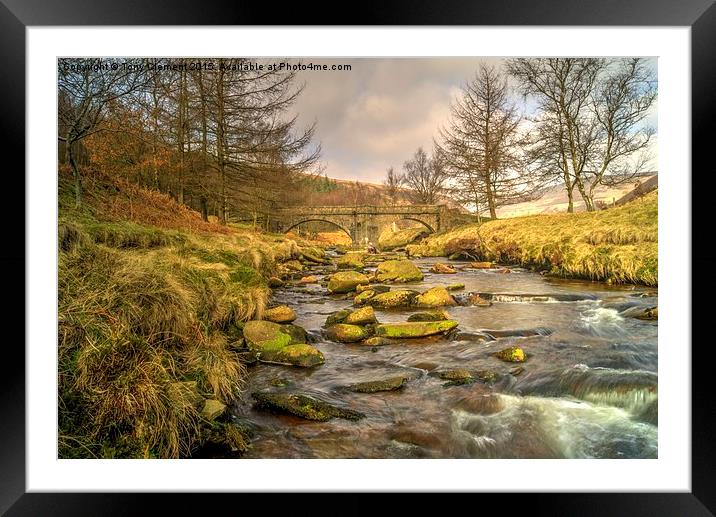  River Derwent Framed Mounted Print by Tony Clement