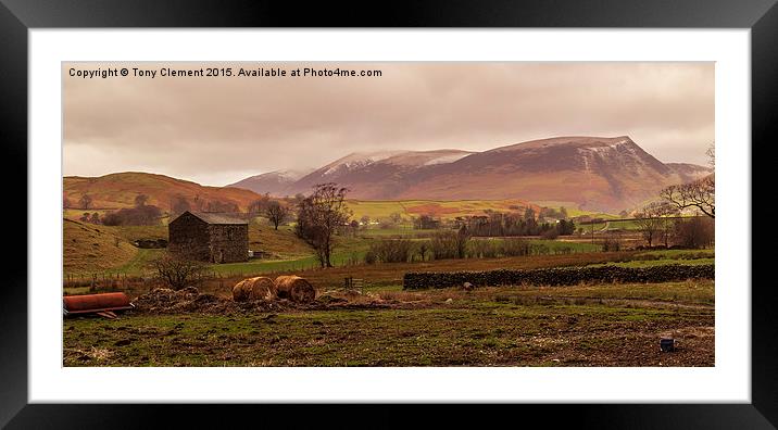  Lake District Farm Land Framed Mounted Print by Tony Clement