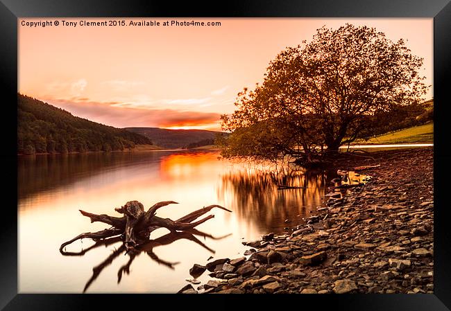  Ladybower Driftwood Framed Print by Tony Clement