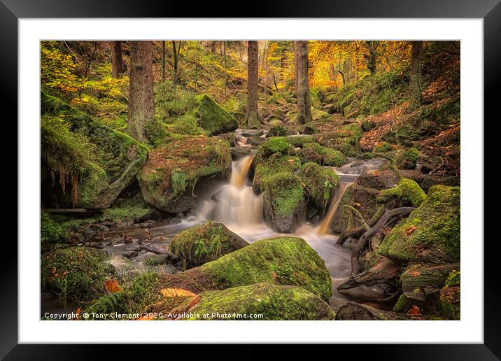 Wyming Brook Framed Mounted Print by Tony Clement