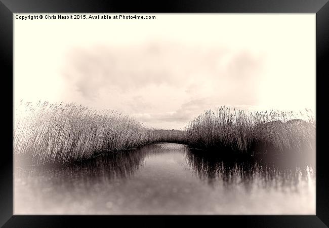 Hidden Seclusion Framed Print by Chris Nesbit