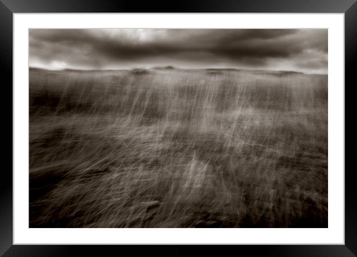 Grass In Flux Framed Mounted Print by Reg Atkinson