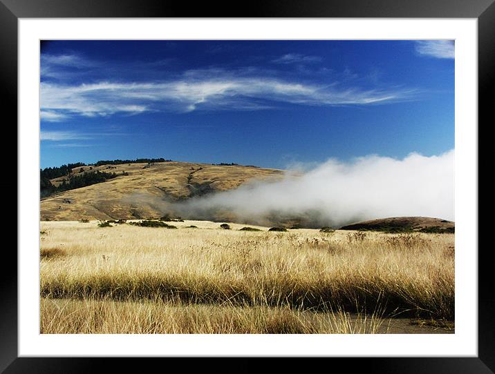 Above the Fog Framed Mounted Print by Nick Minoff