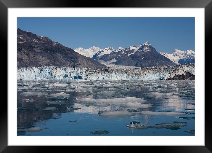 Columbia Glacier Framed Mounted Print by Gail Johnson