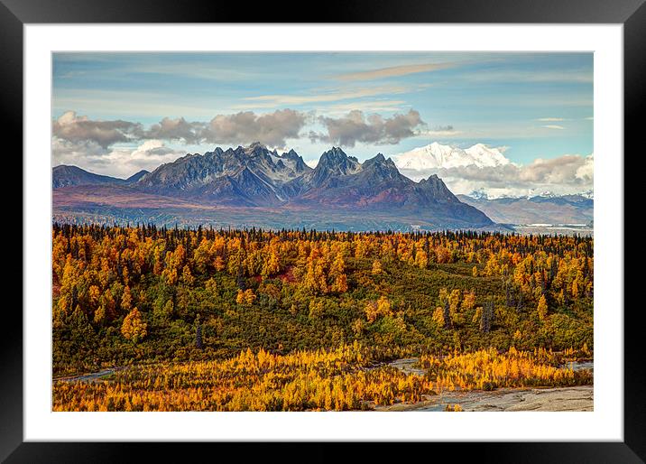Autumn in Denali National Park Framed Mounted Print by Gail Johnson