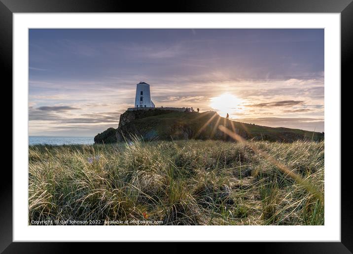 Llandwyn Island  Framed Mounted Print by Gail Johnson