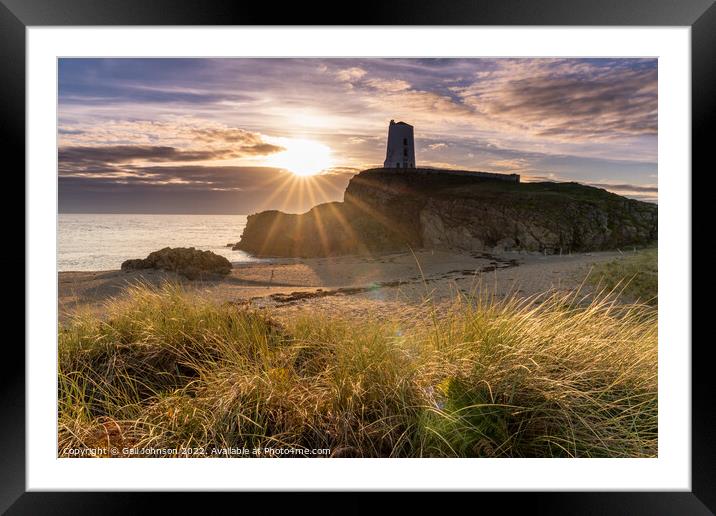 Llandwyn Island  Framed Mounted Print by Gail Johnson