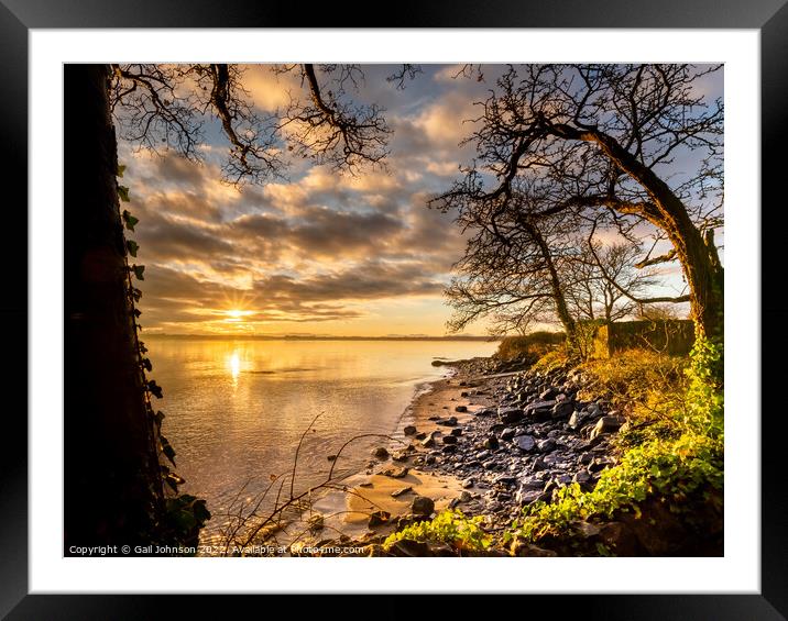 A tree next to a body of water Framed Mounted Print by Gail Johnson