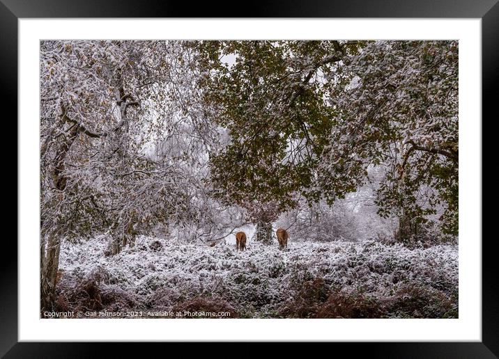 A snowy start to a walk in the Uk with deer  Framed Mounted Print by Gail Johnson