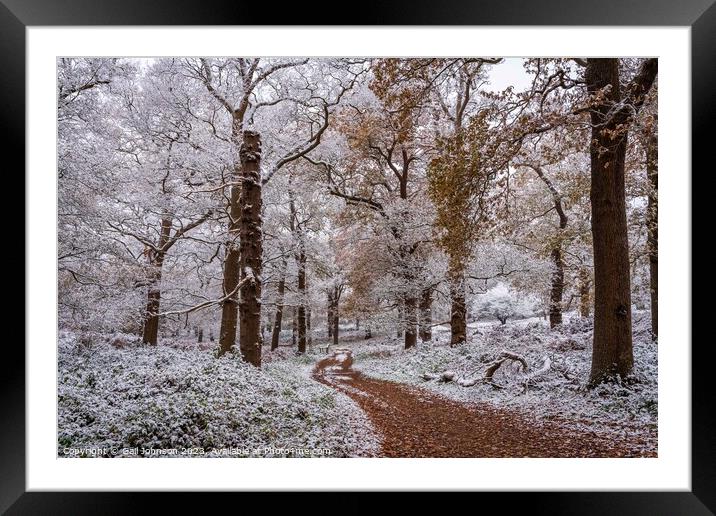 A snowy start to a walk  Framed Mounted Print by Gail Johnson