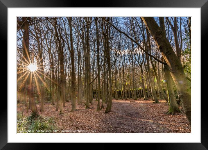 Early morning walk at Penrhos Nature park Islae of Angelsey  Framed Mounted Print by Gail Johnson