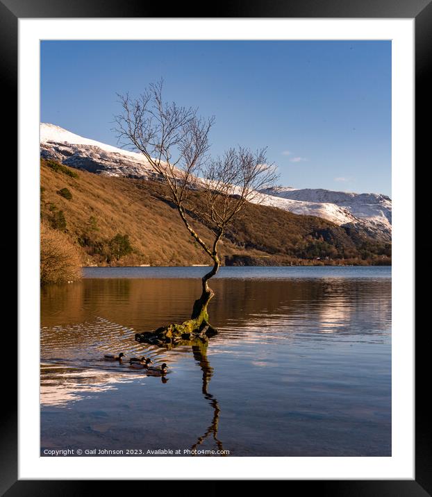 Views around Llanberis in winter with snow on the hills  Framed Mounted Print by Gail Johnson
