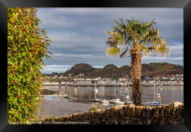 Conwy castle and town at sunrise North Wales  Framed Print by Gail Johnson