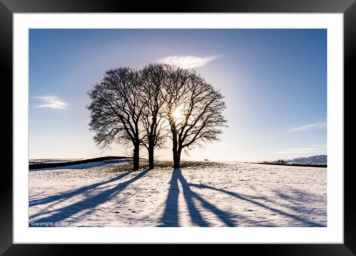 Winter light through some tree with snow on the ground  Framed Mounted Print by Gail Johnson