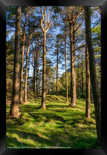 Views around the Devils Kitchen, Snowdonia National Park , North Framed Print by Gail Johnson