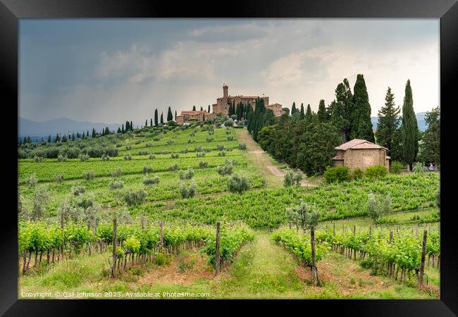 Views travelling around Tuscany, Italy  Framed Print by Gail Johnson