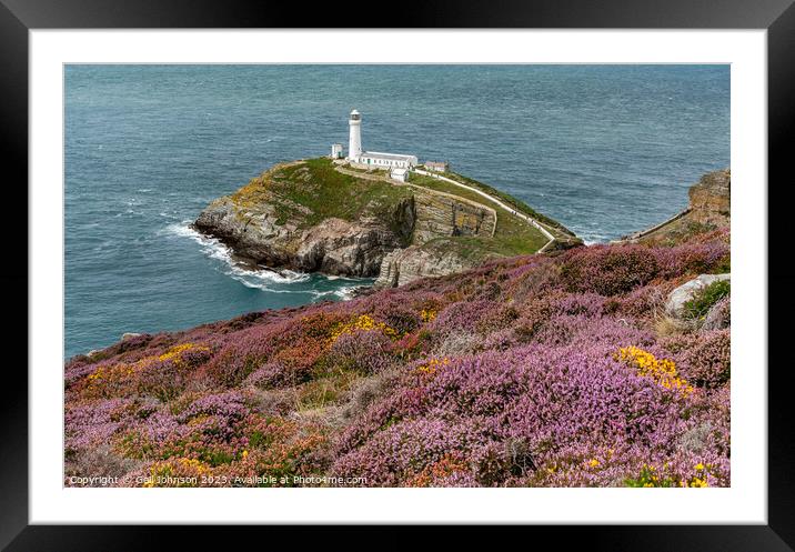 Views around South Stack lighthouse with the gorse and heather o Framed Mounted Print by Gail Johnson