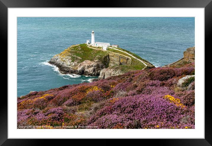 Views around South Stack lighthouse with the gorse and heather o Framed Mounted Print by Gail Johnson