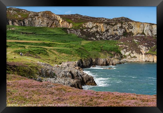 Views around Holyhead Breakwater park with the heather and gorse Framed Print by Gail Johnson