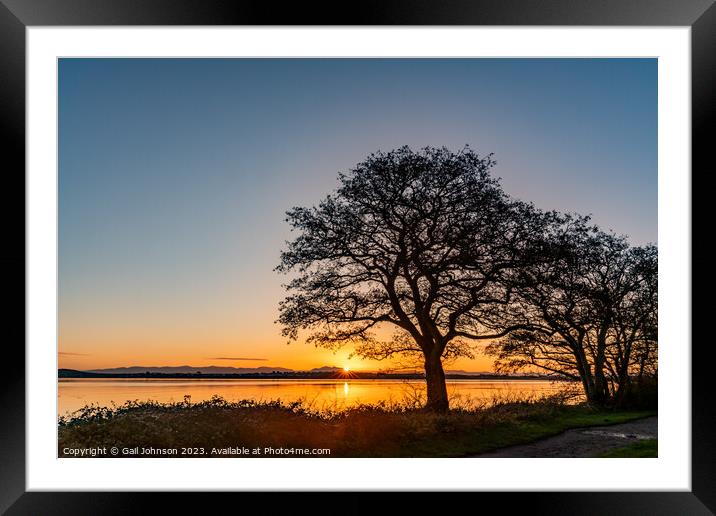 Sunrise over Penrhos nature park Angelsey Framed Mounted Print by Gail Johnson