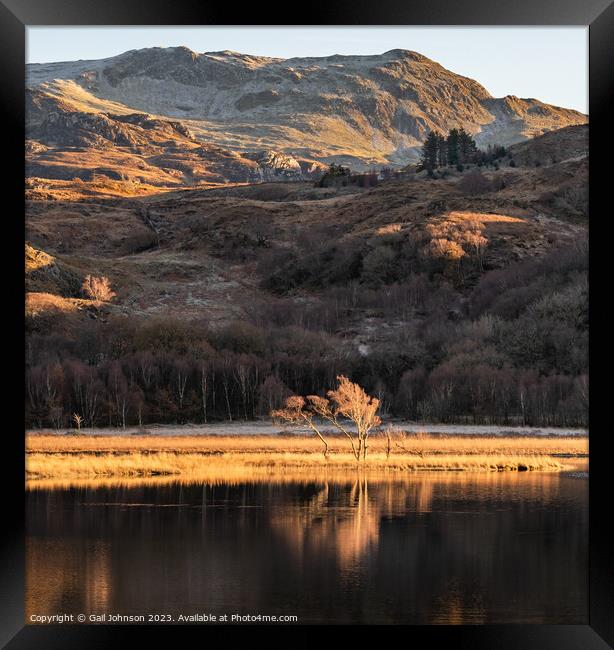 Reflection views around Snowdonia lakes in winter  Framed Print by Gail Johnson