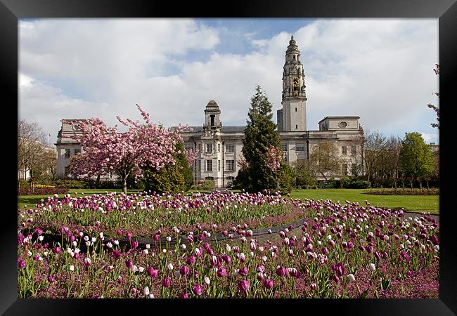 Cathays Park Framed Print by Gail Johnson