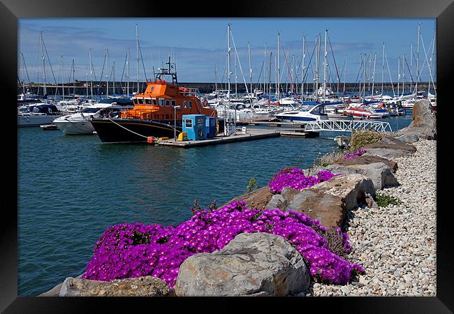 Holyhead Marina and harbour Framed Print by Gail Johnson