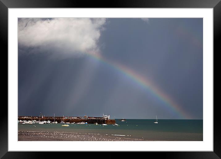 Mont Orgueil Castle after the rain Framed Mounted Print by Gail Johnson