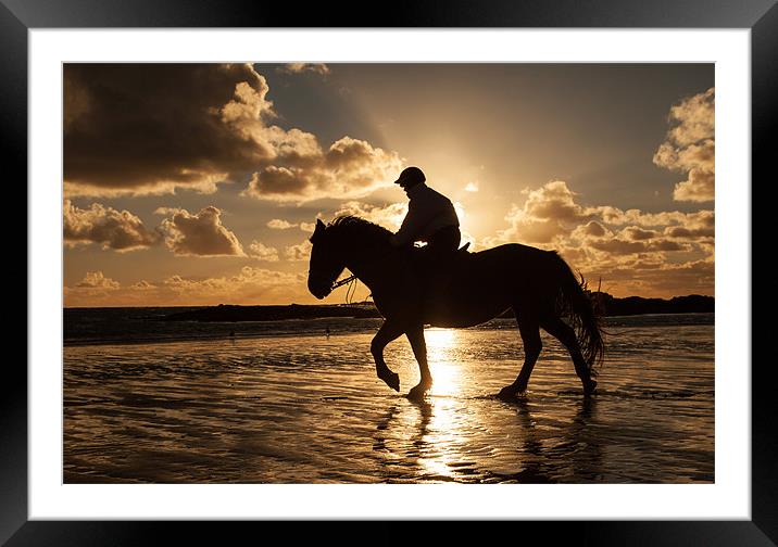 Horse on the beach Framed Mounted Print by Gail Johnson