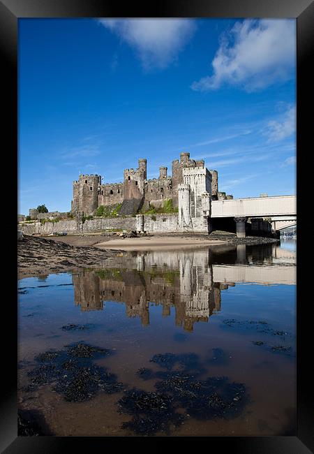 Conwy Castle Framed Print by Gail Johnson