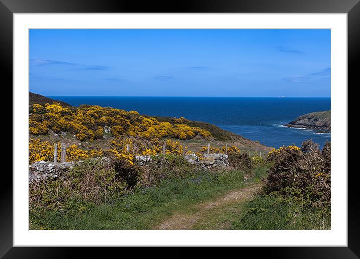 Porth Wen Framed Mounted Print by Gail Johnson