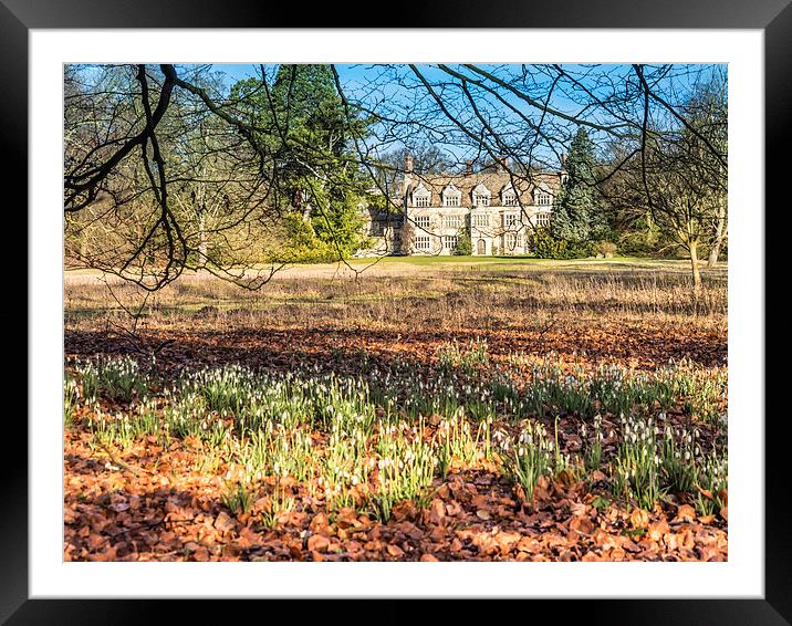 Anglesey Abbey Gardens in Winter Framed Mounted Print by Gail Johnson