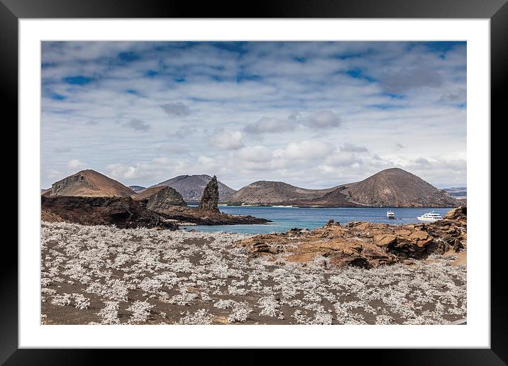  Bartolome Island - Galapagos Framed Mounted Print by Gail Johnson