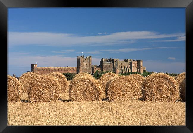 Bamburgh Castle Framed Print by Gail Johnson