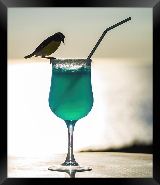 Blue Curacao Drink and a brid Framed Print by Gail Johnson
